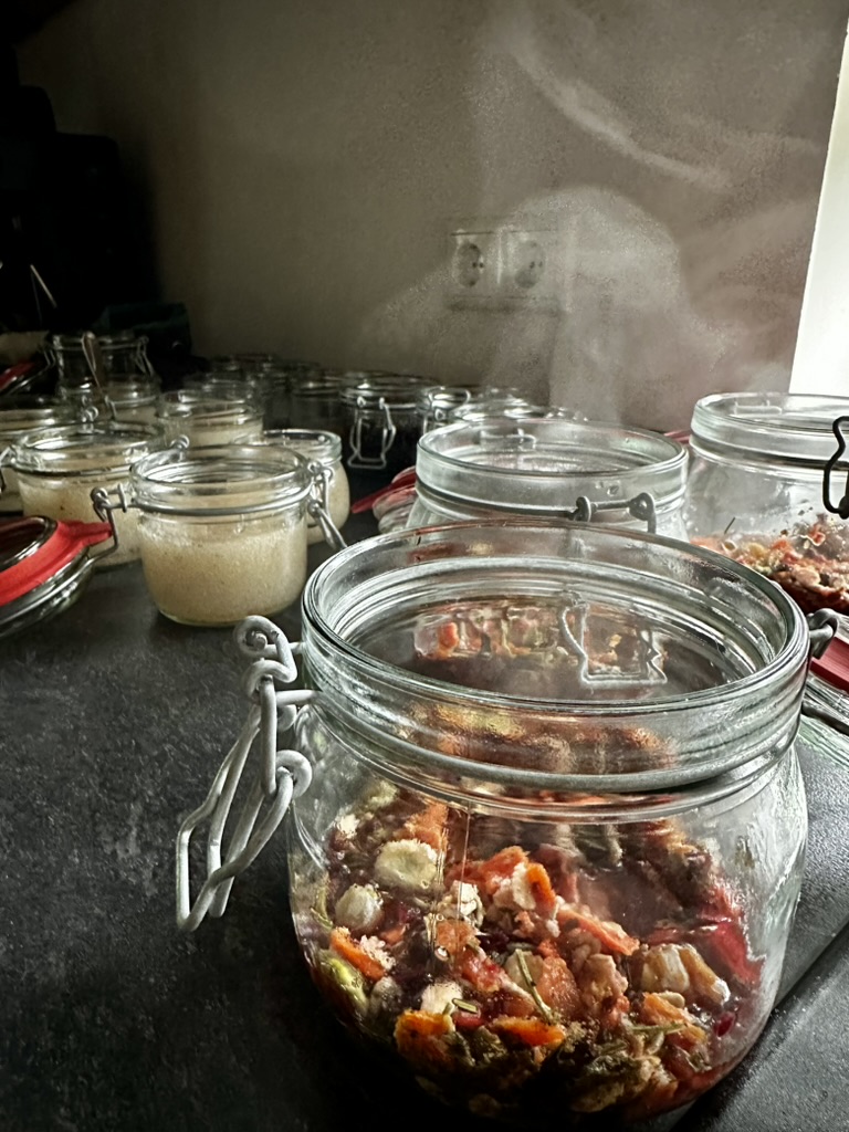 Einmachgläser mit Gemüse