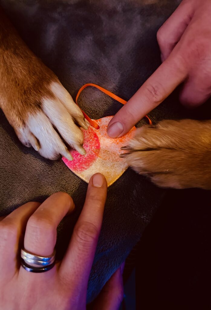 Pfoten und Hände liegen auf einem Herz