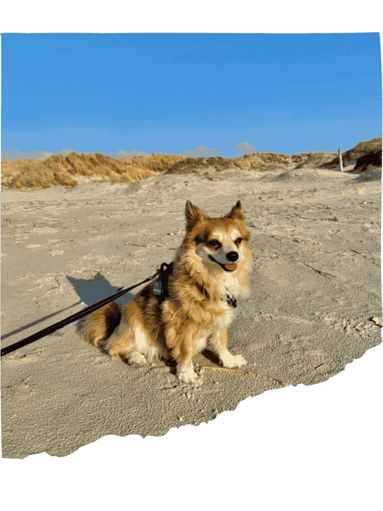 Frieda am Strand