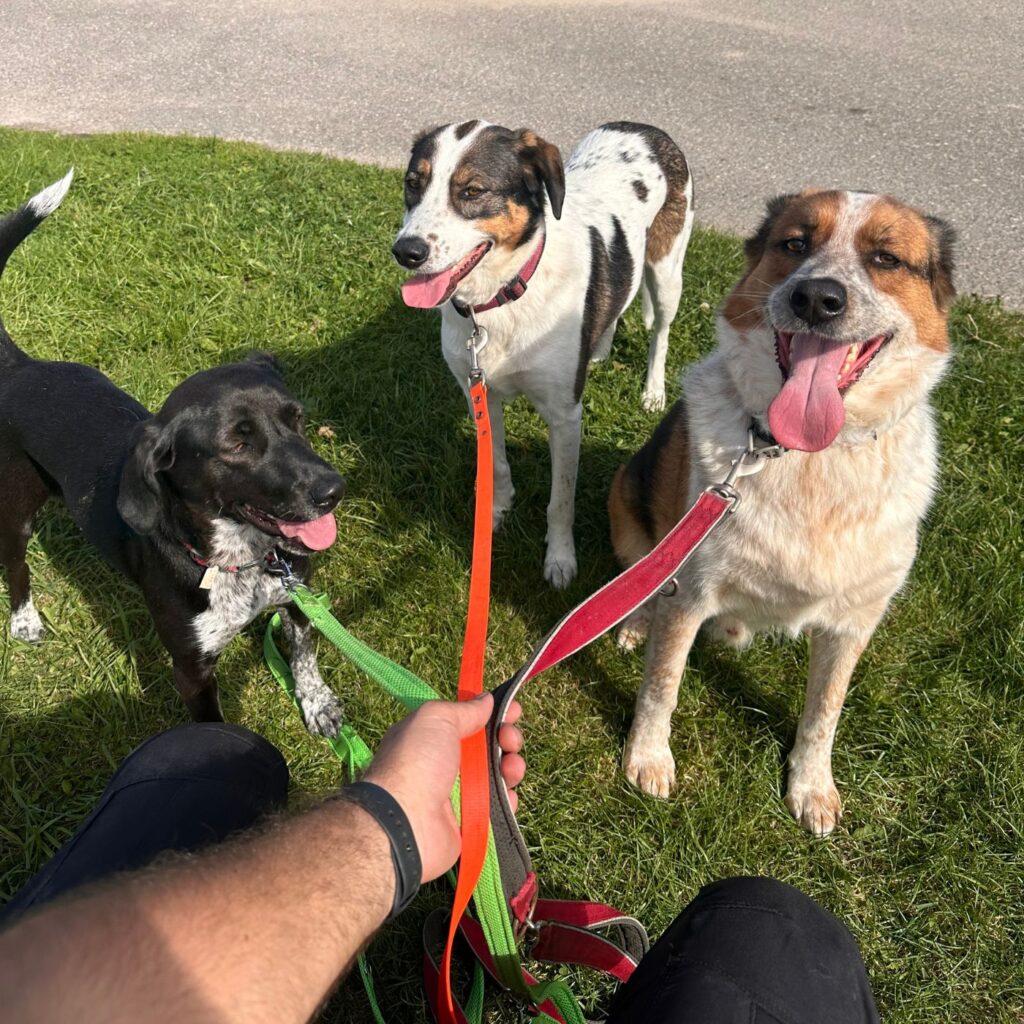 Claus, Edda und Lucie