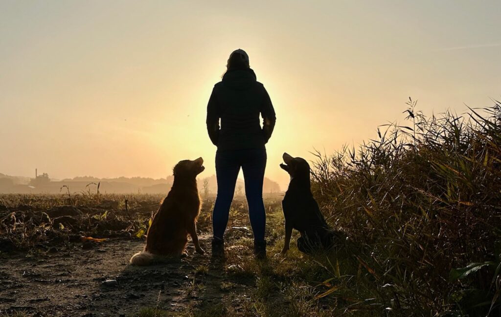 Christin und Hunde im Sonnenuntergang